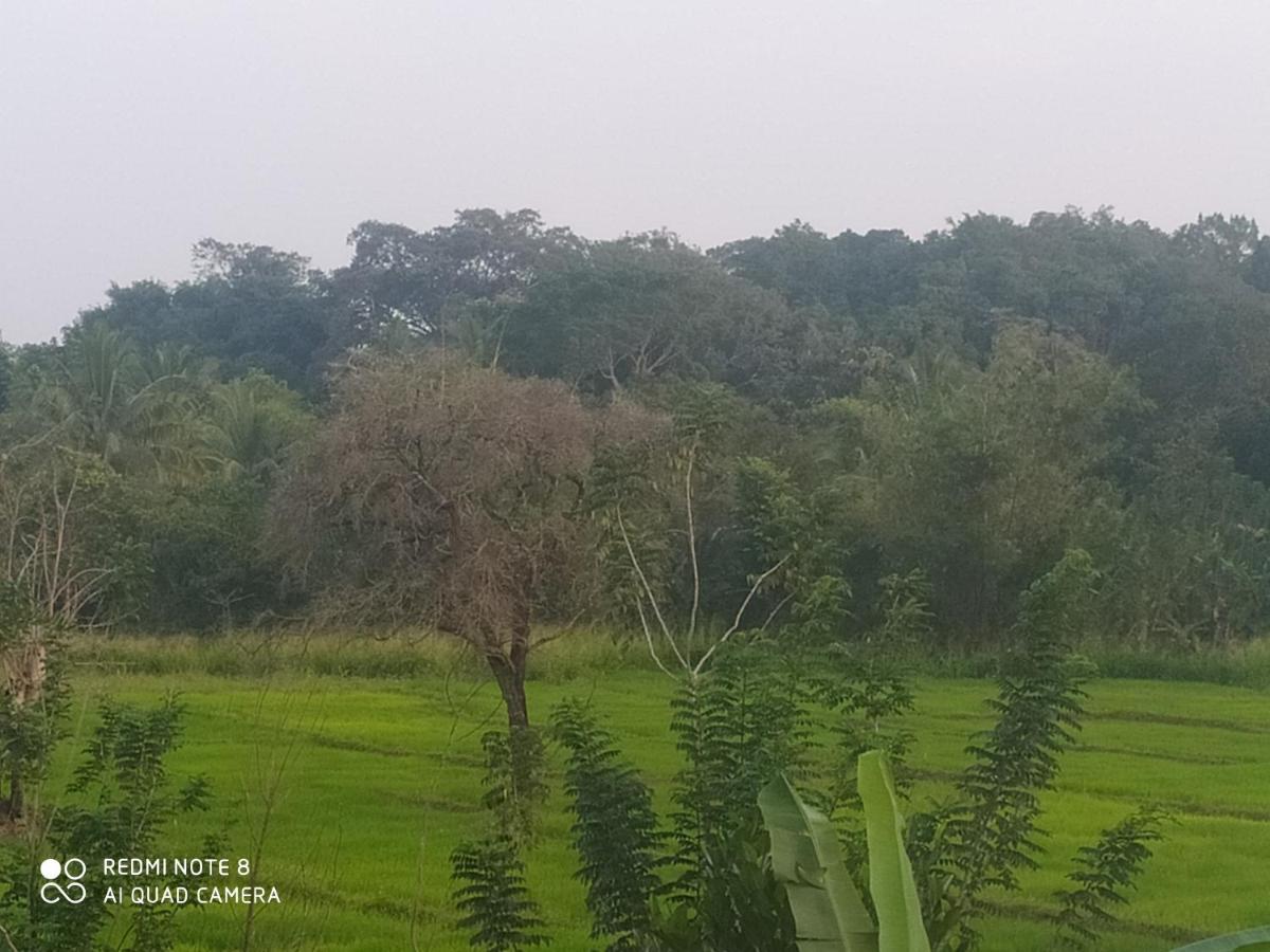Sigiri Gayani Home Stay 锡吉里亚 外观 照片